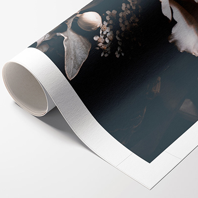 Canvas Prints