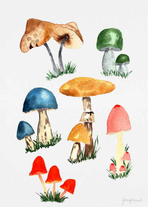 5x7 Mushroom