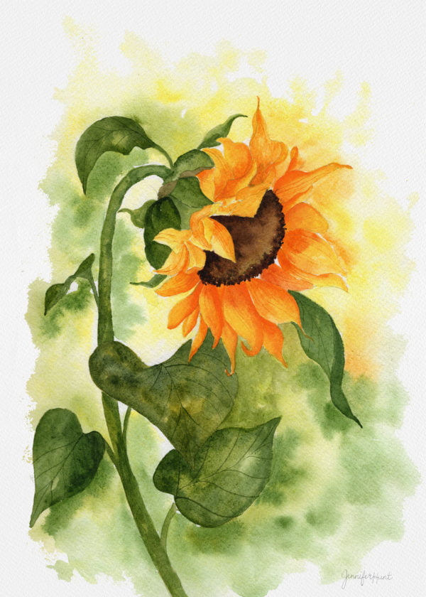5x7 Sunflower