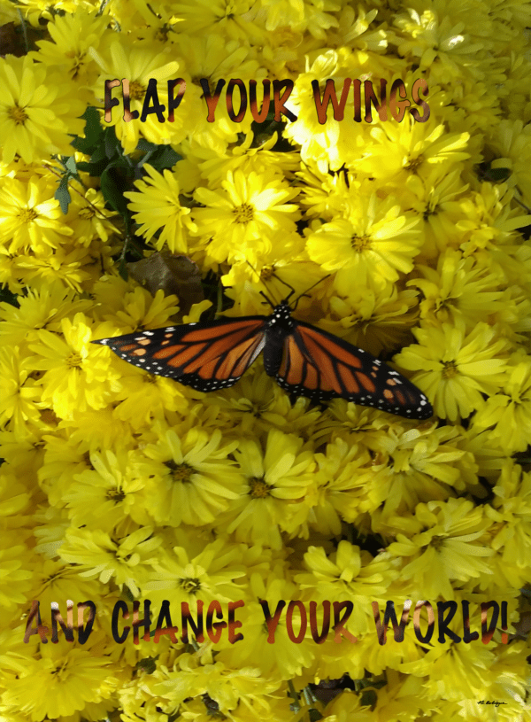 "The Magic Of The Monarch" Picture/Poster Poem. Monarch On Mums