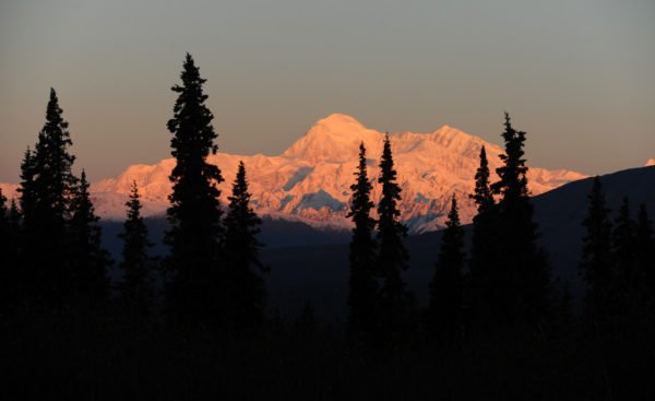 Denali Sunrise