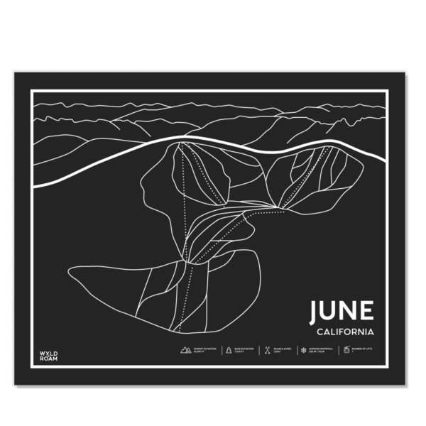 June Web Black