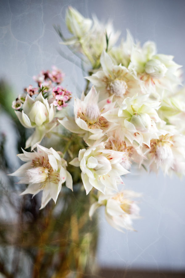 Blushing bride flowers Tarryn Goldman scaled