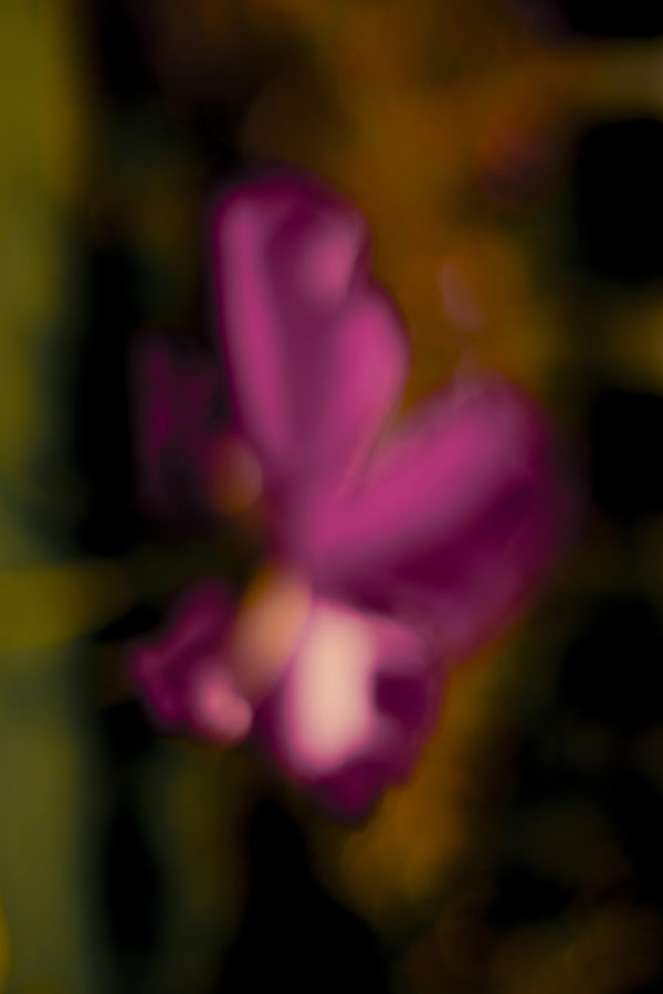 1W3B2668 1 scaled