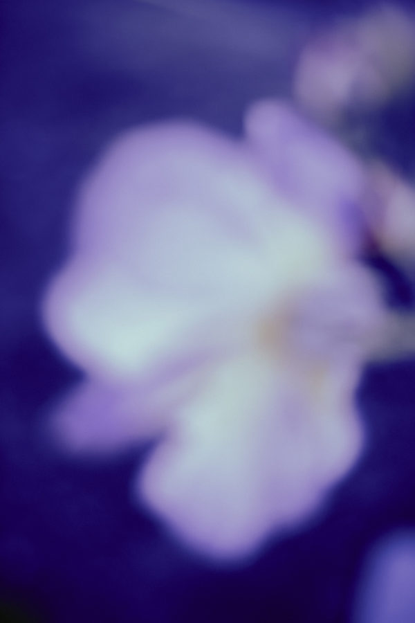 1W3B5354