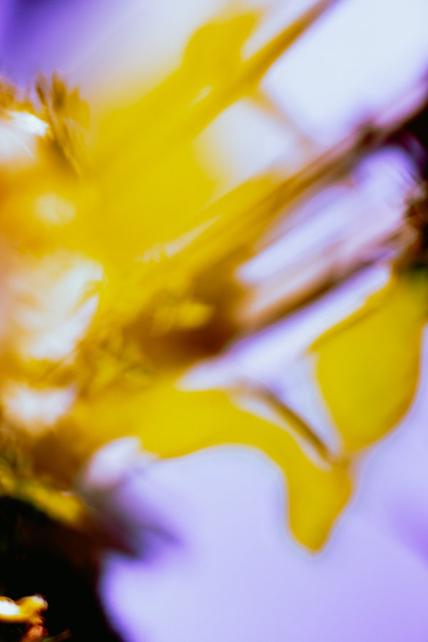 1W3B7645
