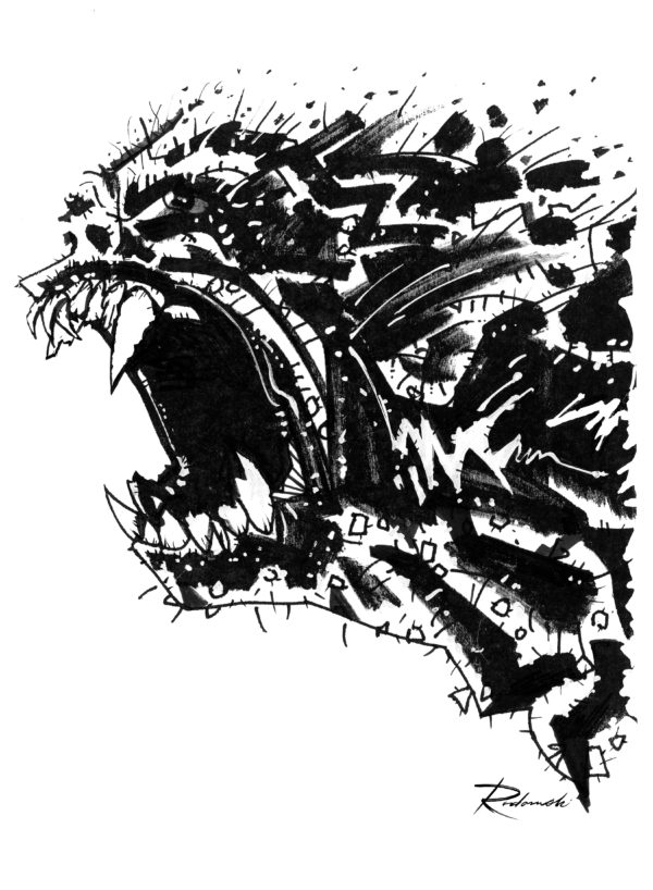 ROAR 25 scaled