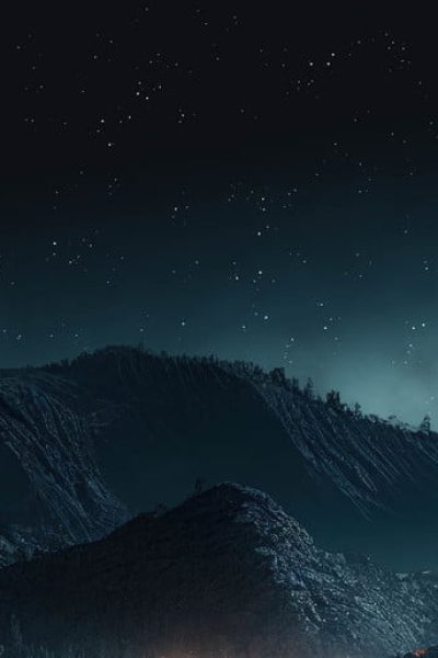 Forest Mountains Night
