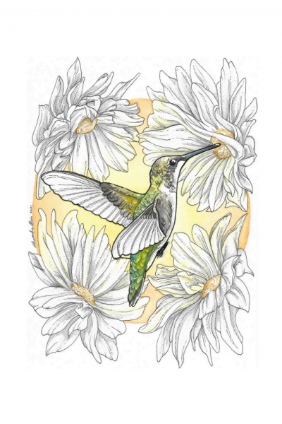 hummingbird_thumbnail